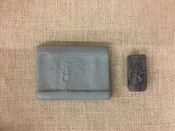 Cylinder Seal with Pleiades