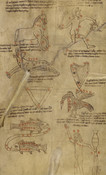 Constellations of Pegasus, Aries, Triangulum, Pisces, Perseus, Lyra, Cygnus, and Aquarius