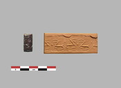 Cylinder seal with luminary