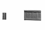 Cylinder seal with luminary