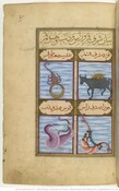 The exaltation (in Taurus) and debilitation (in Scorpio) of the moon, exaltation (in Gemini) of the Eclipse Dragon Head and the debilitation (in Sagittarius) of the Tail